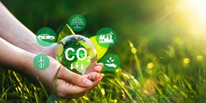 Green Economy, Georgian Bay, ON