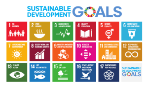 A Focus on the Viability of our Towns